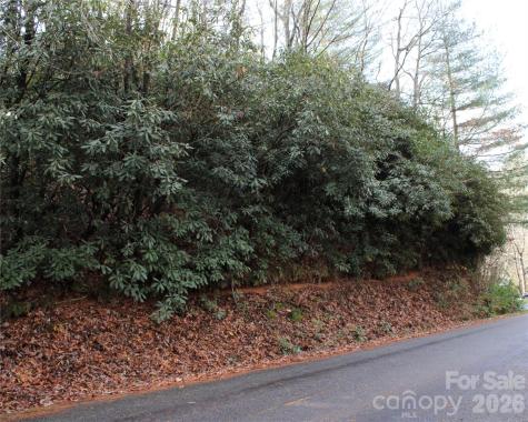 Tbd Stamey Creek Road Brevard NC 28712