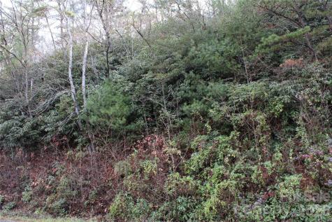 Tbd Stamey Creek Road Brevard NC 28712