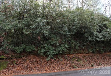 Tbd Stamey Creek Road Brevard NC 28712