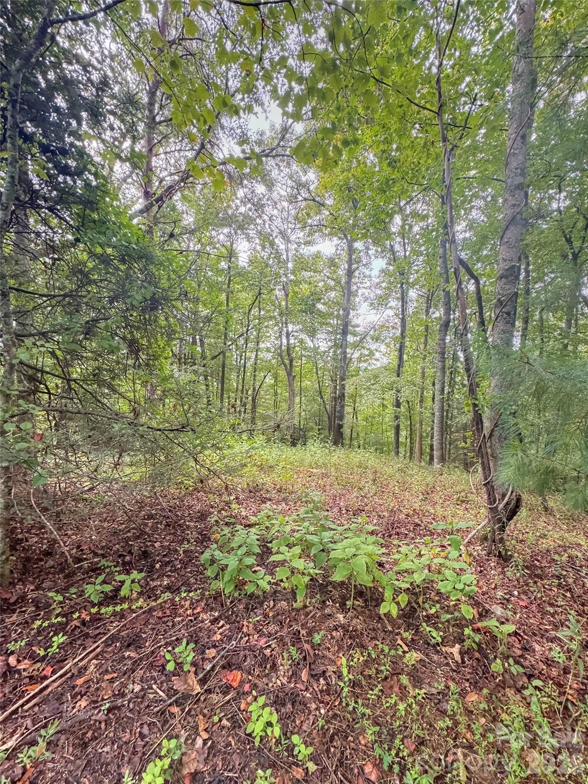 110 Stone Valley Way Hendersonville NC 28792