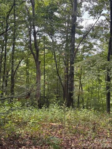 110 Stone Valley Way Hendersonville NC 28792