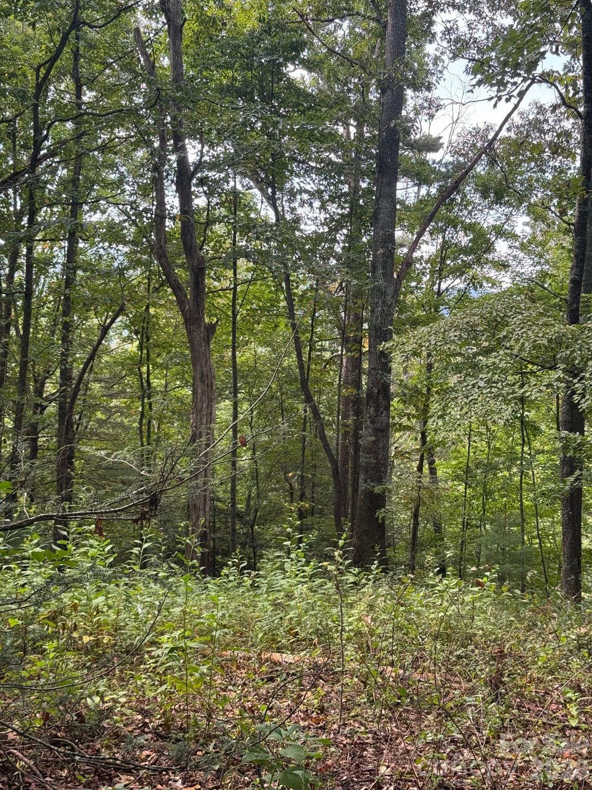 110 Stone Valley Way Hendersonville NC 28792