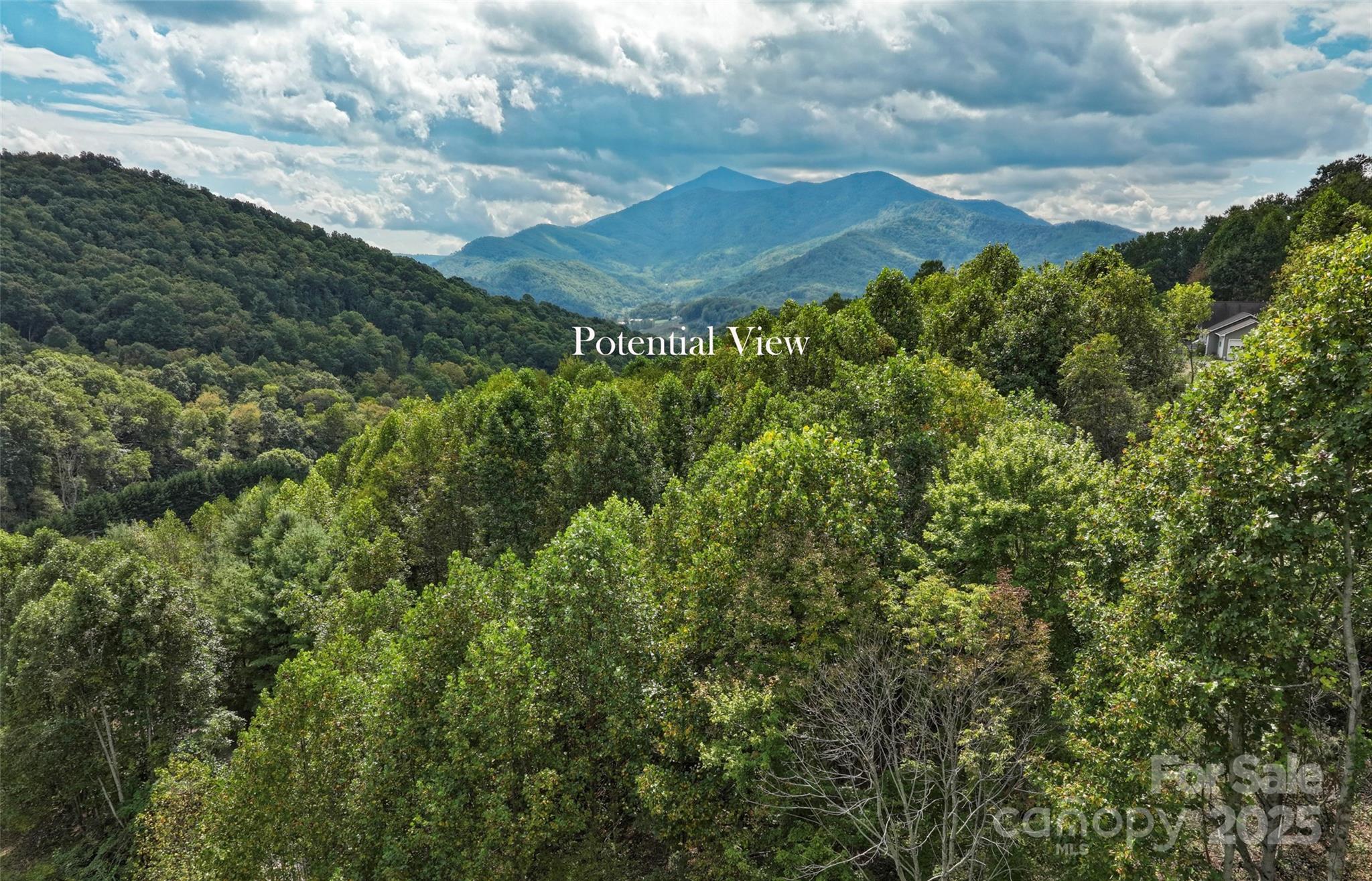 0 Majestic Mountain Drive Burnsville NC 28714