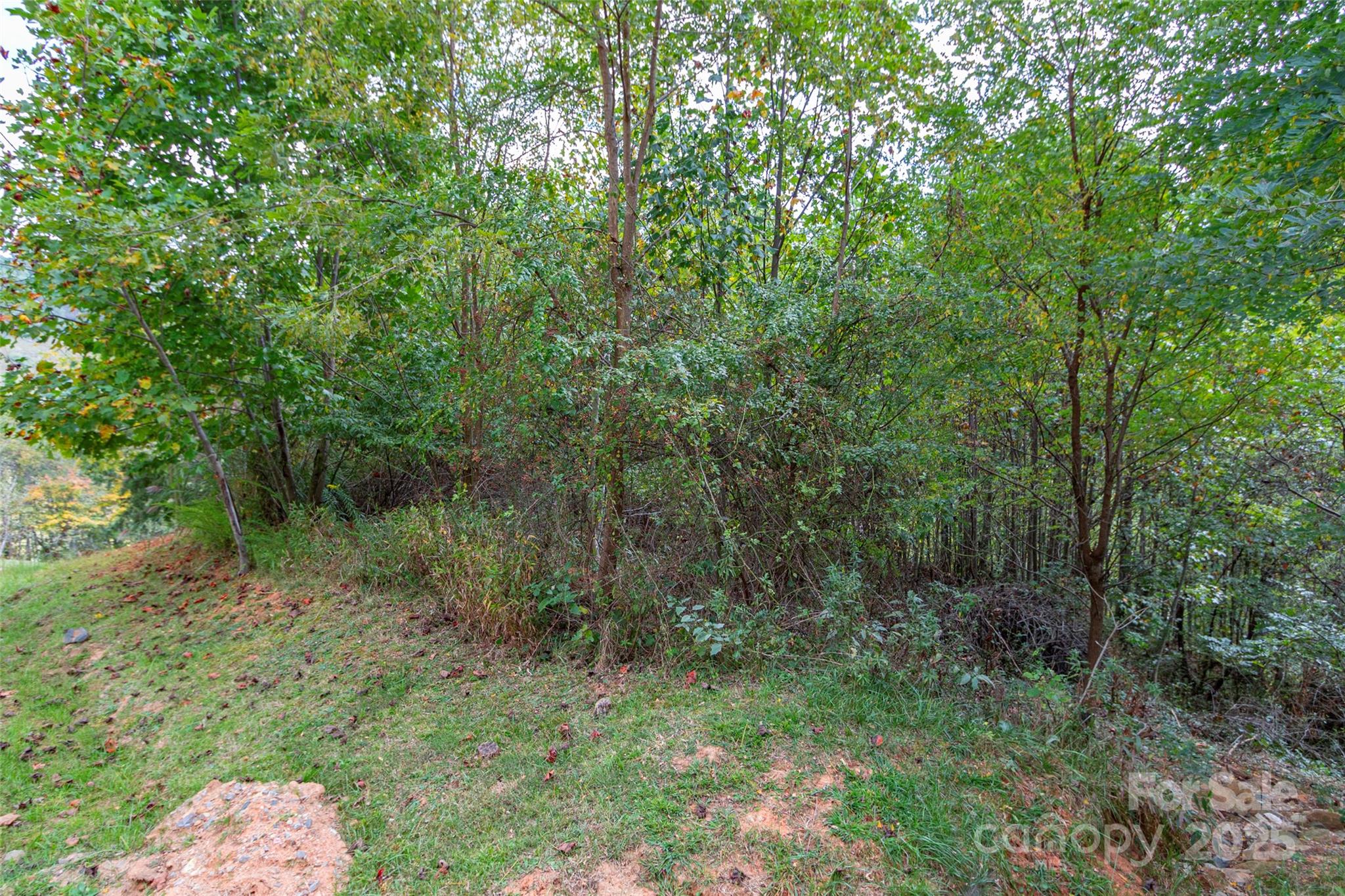 0 Majestic Mountain Drive Burnsville NC 28714