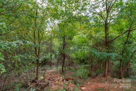 0 Majestic Mountain Drive Burnsville NC 28714