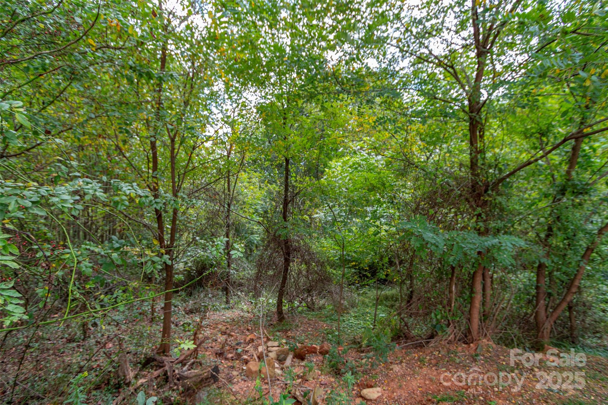 0 Majestic Mountain Drive Burnsville NC 28714