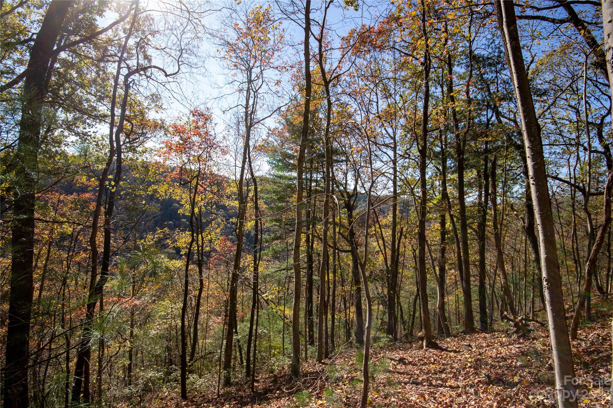 Lot# 547 Autumn Ridge Lenoir NC 28645