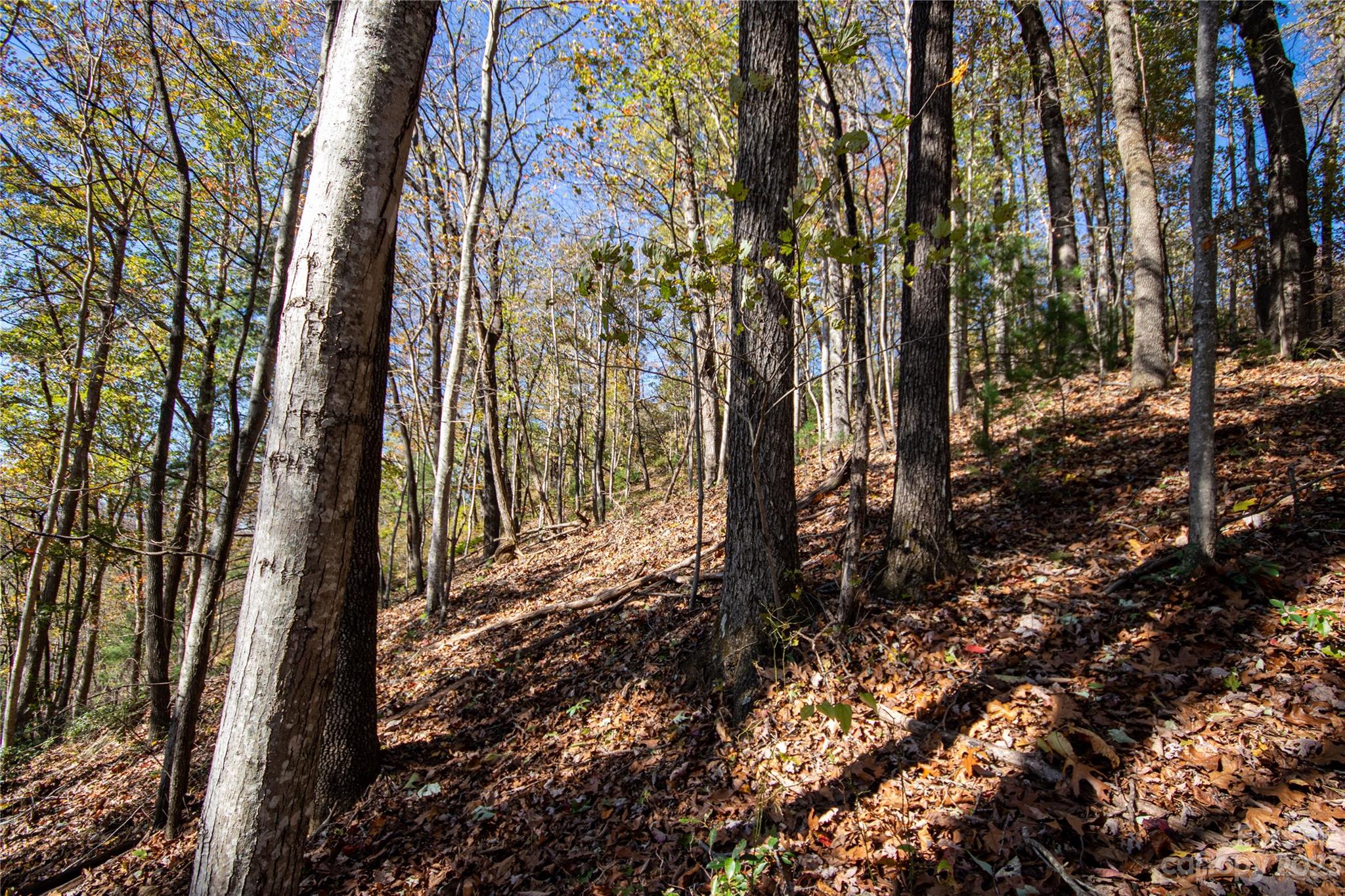 Lot# 547 Autumn Ridge Lenoir NC 28645