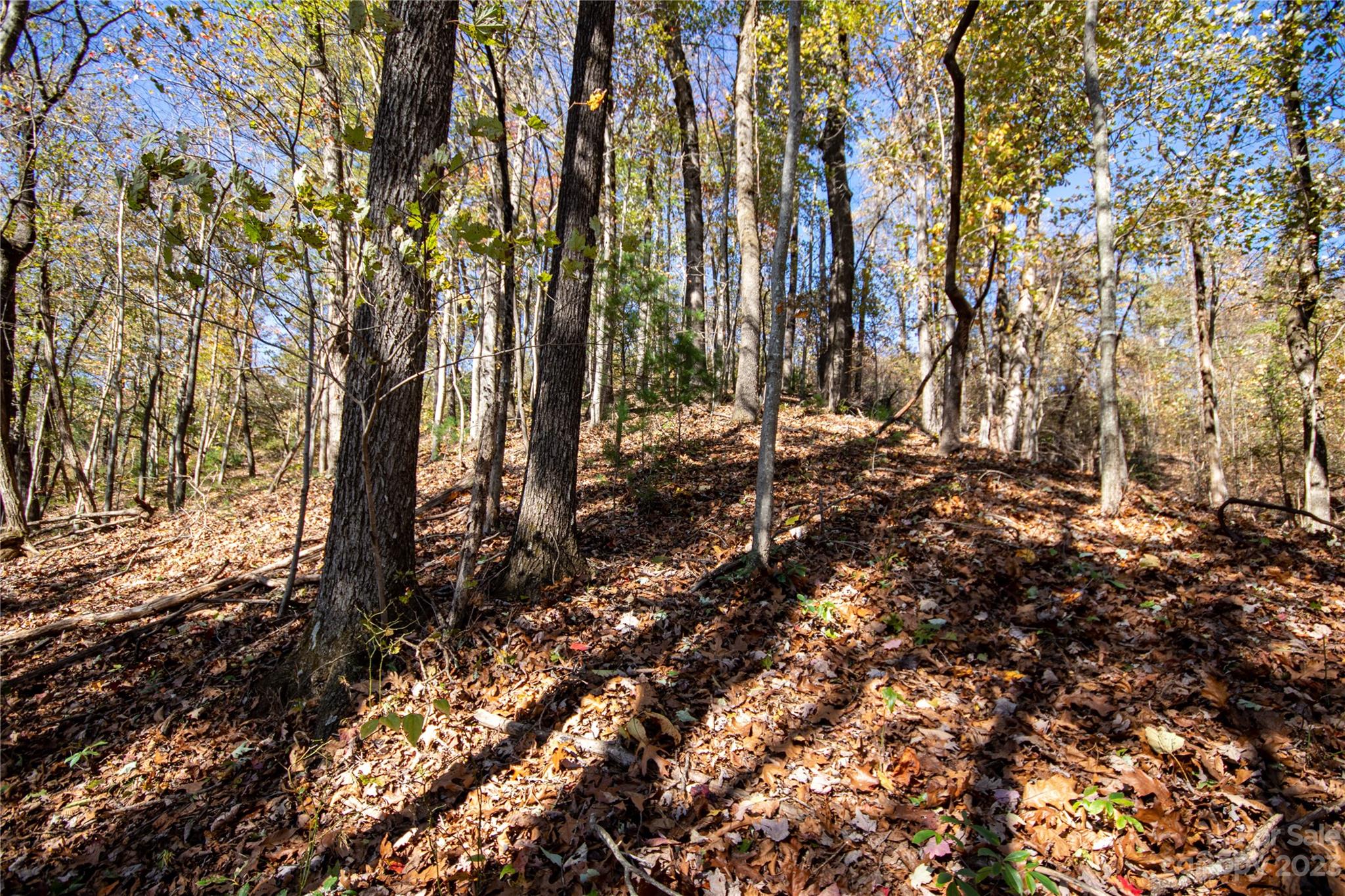 Lot# 547 Autumn Ridge Lenoir NC 28645
