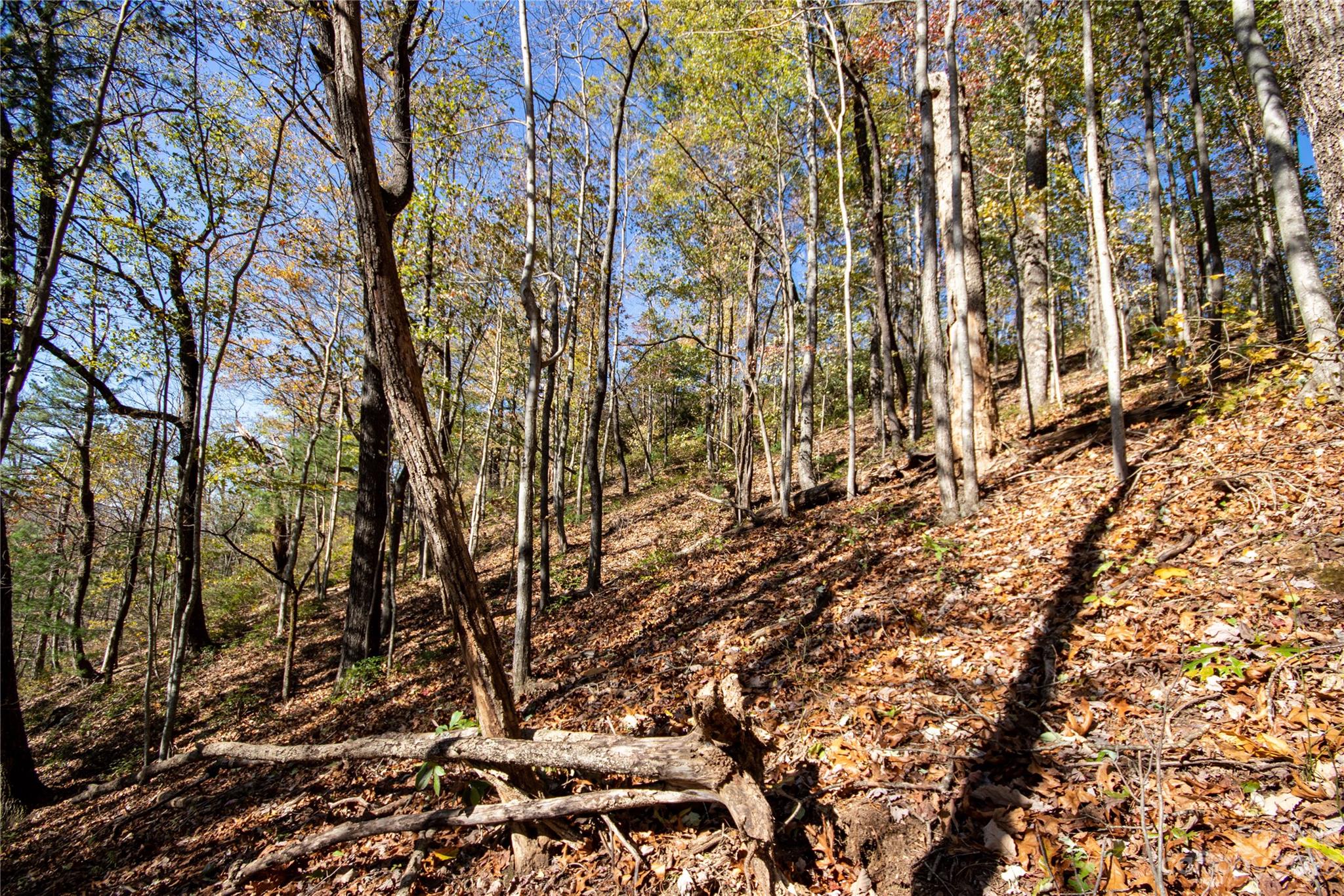 Lot# 547 Autumn Ridge Lenoir NC 28645