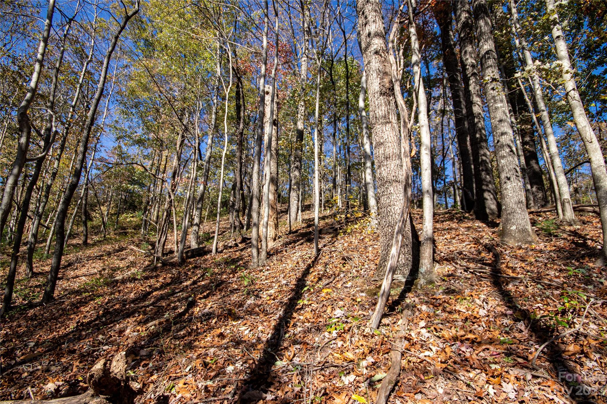 Lot# 547 Autumn Ridge Lenoir NC 28645