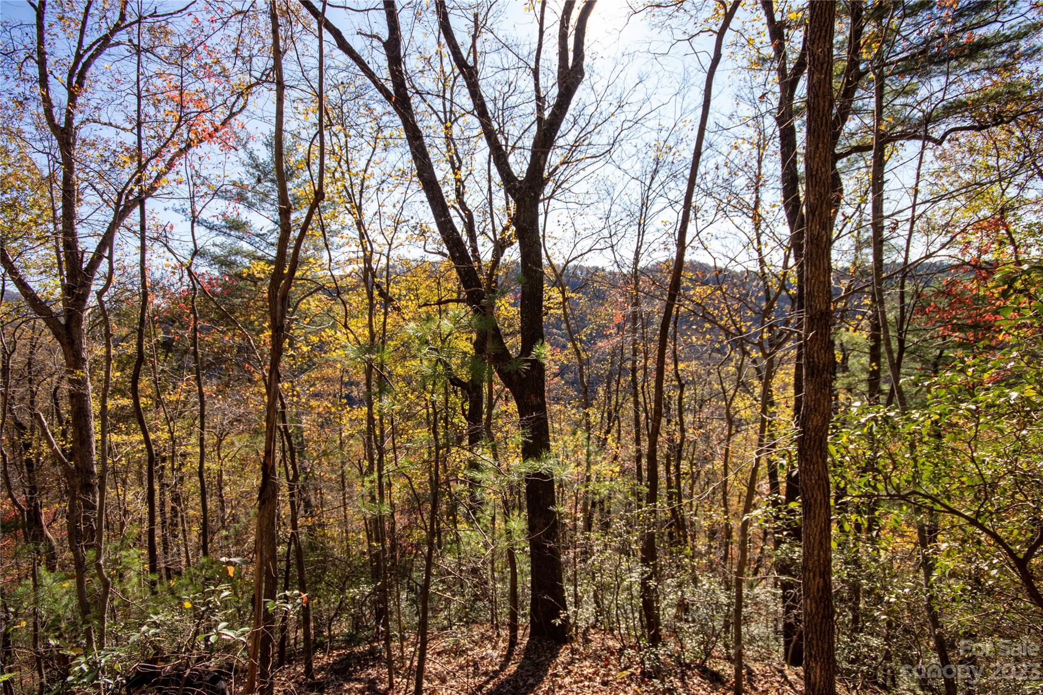 Lot# 547 Autumn Ridge Lenoir NC 28645