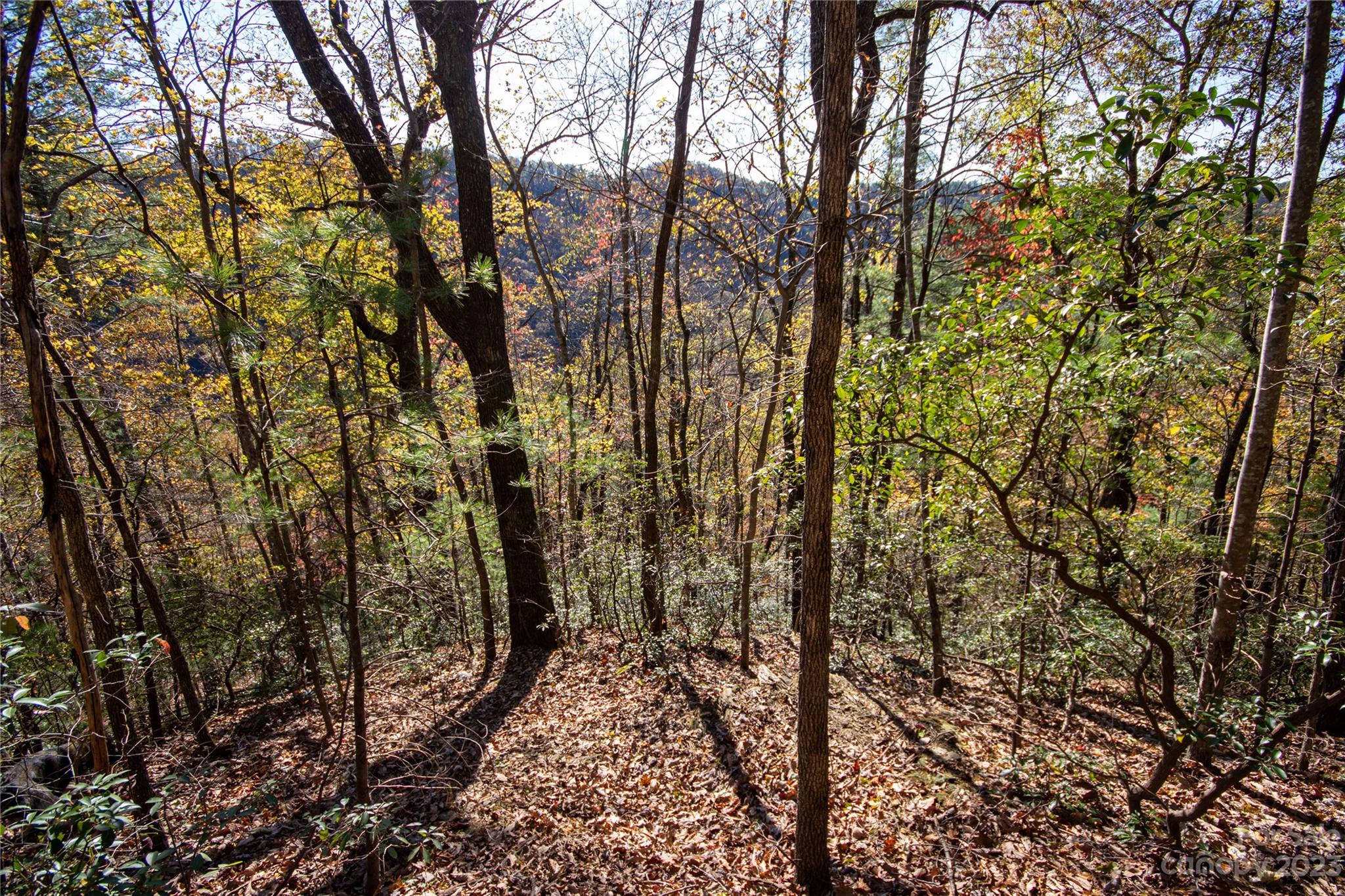Lot# 547 Autumn Ridge Lenoir NC 28645