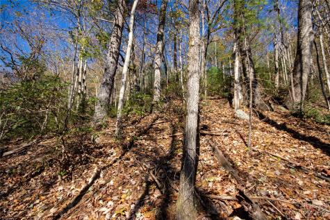 Lot# 547 Autumn Ridge Lenoir NC 28645