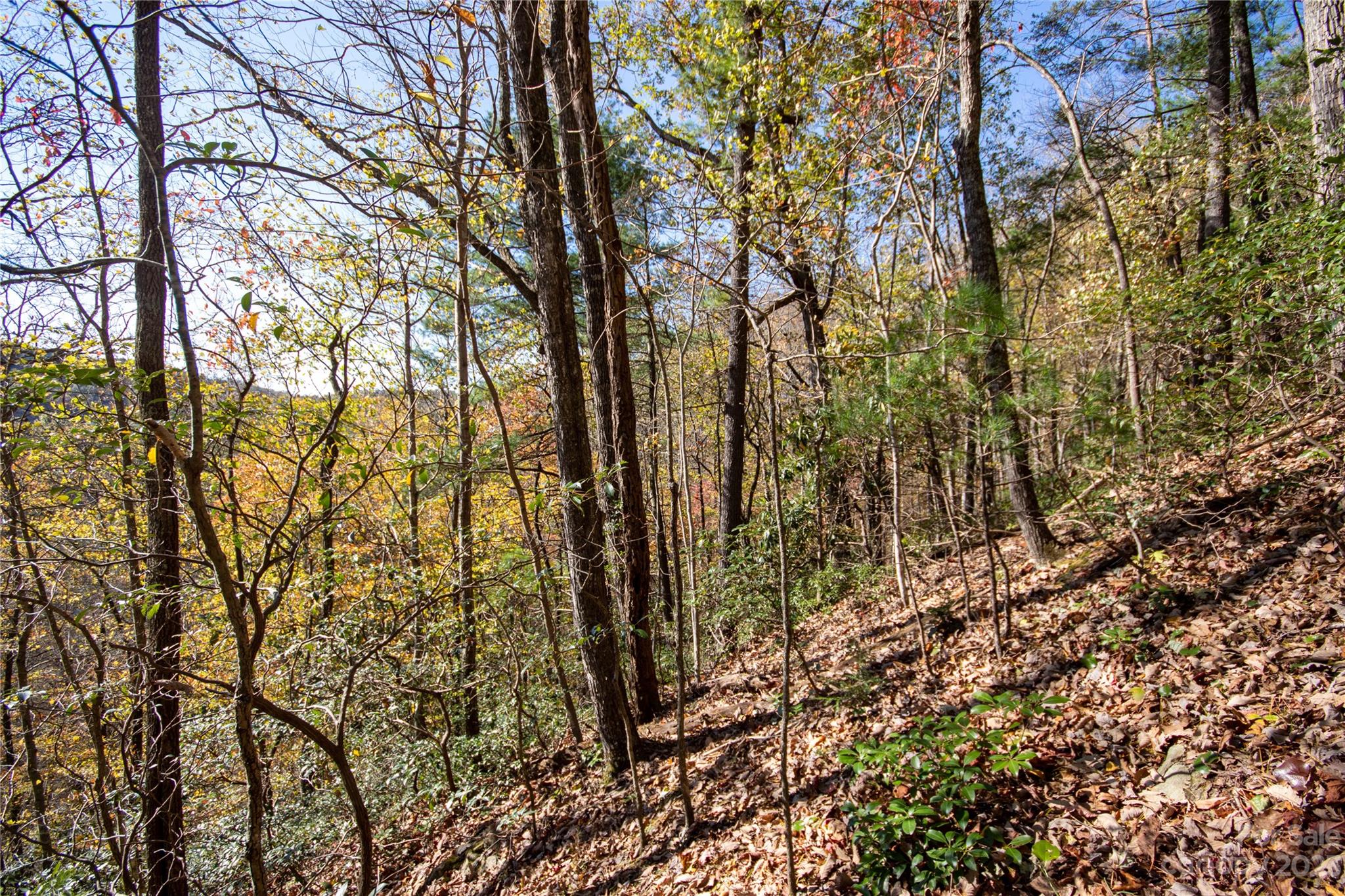 Lot# 547 Autumn Ridge Lenoir NC 28645