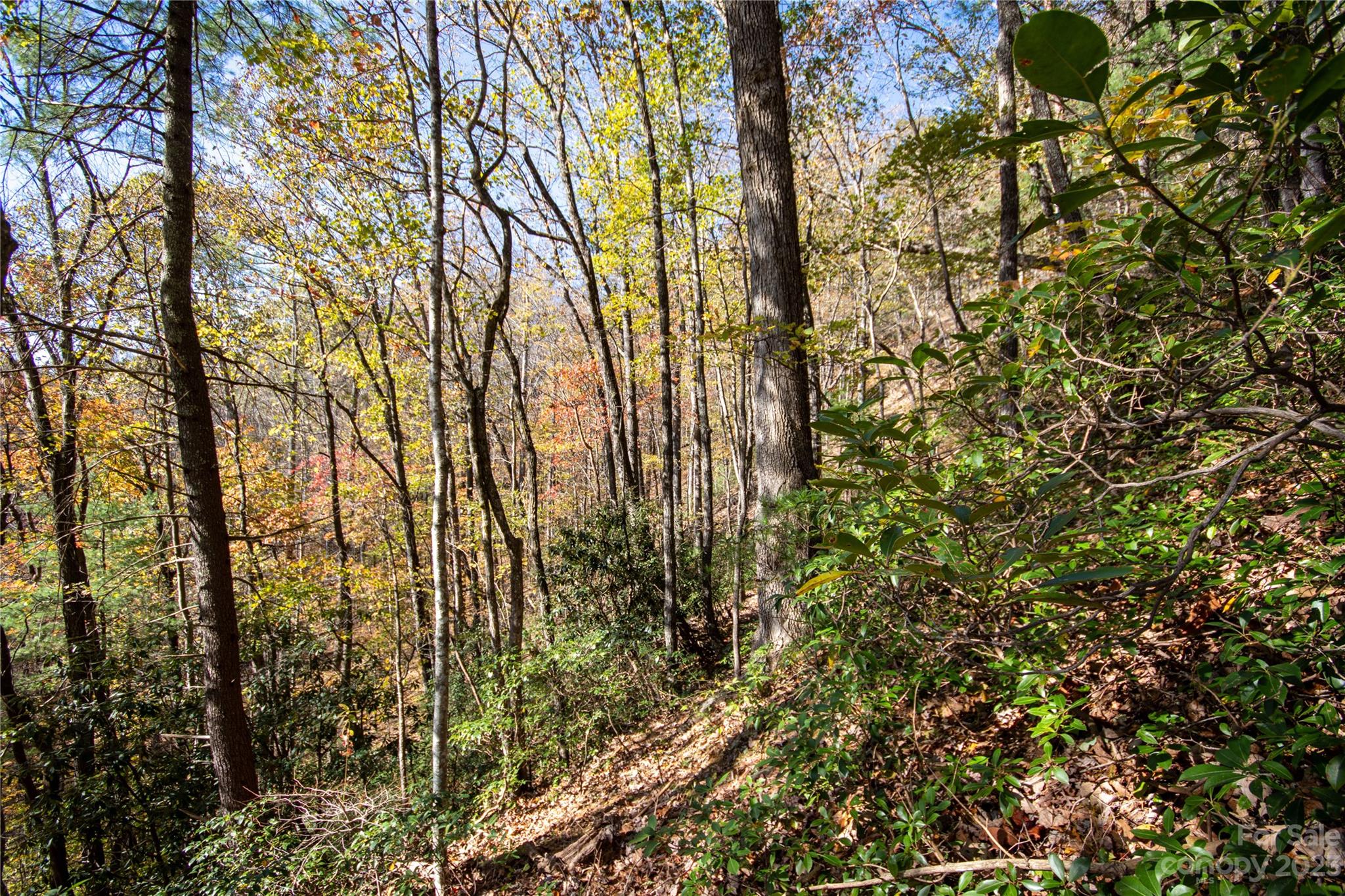 Lot# 547 Autumn Ridge Lenoir NC 28645