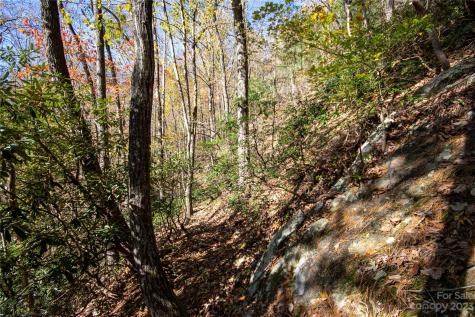 Lot# 547 Autumn Ridge Lenoir NC 28645