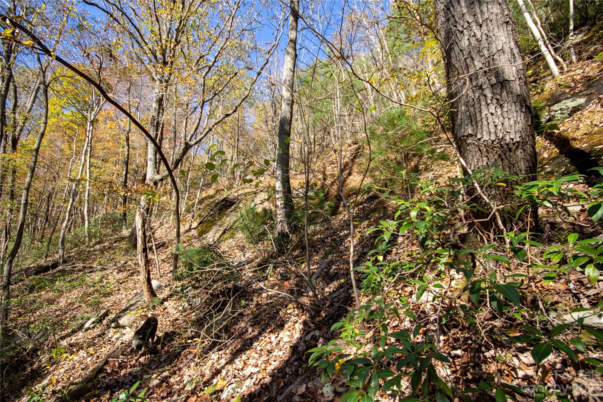 Lot# 547 Autumn Ridge Lenoir NC 28645