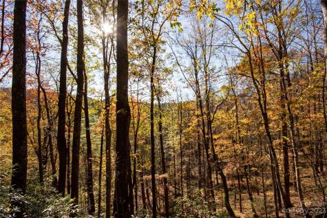 Lot# 547 Autumn Ridge Lenoir NC 28645