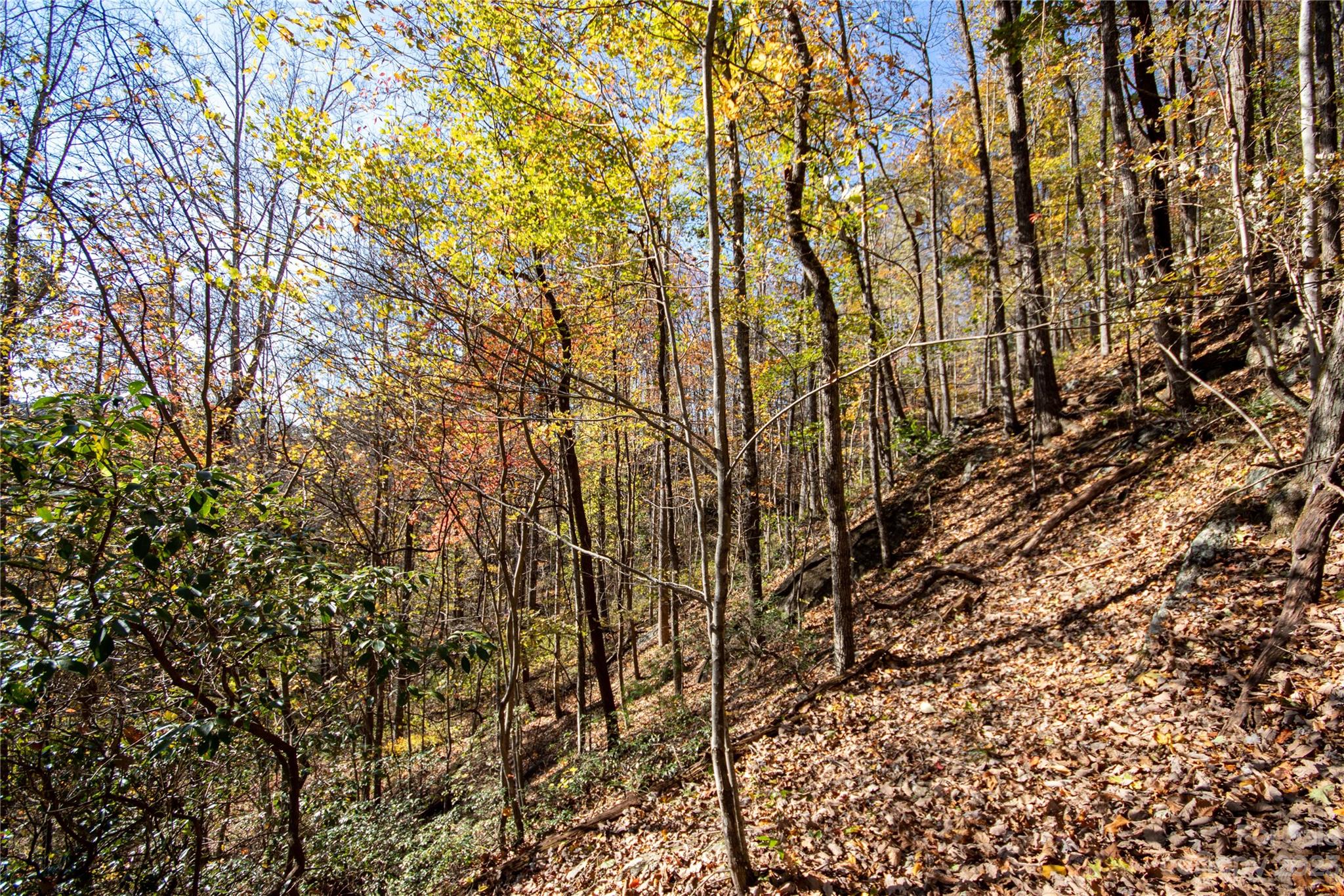 Lot# 547 Autumn Ridge Lenoir NC 28645