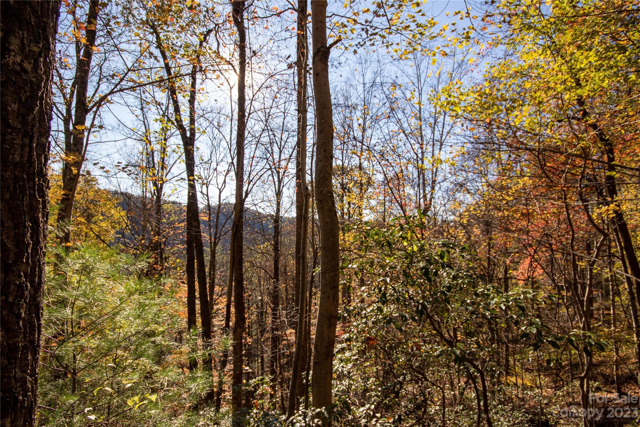 Lot# 547 Autumn Ridge Lenoir NC 28645