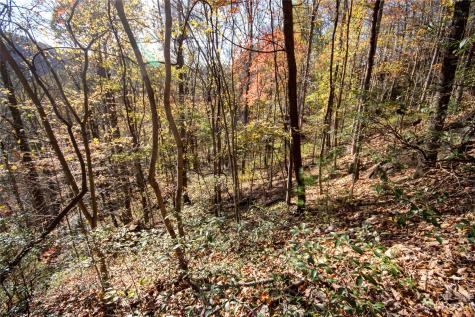 Lot# 547 Autumn Ridge Lenoir NC 28645
