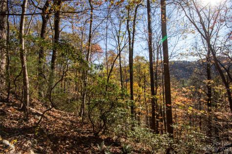 Lot# 547 Autumn Ridge Lenoir NC 28645