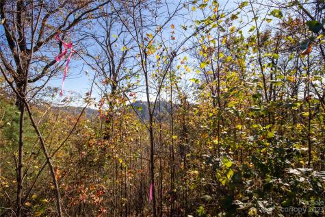 Lot# 547 Autumn Ridge Lenoir NC 28645