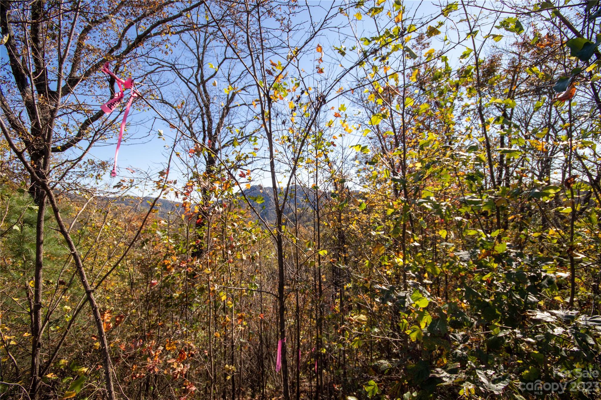 Lot# 547 Autumn Ridge Lenoir NC 28645