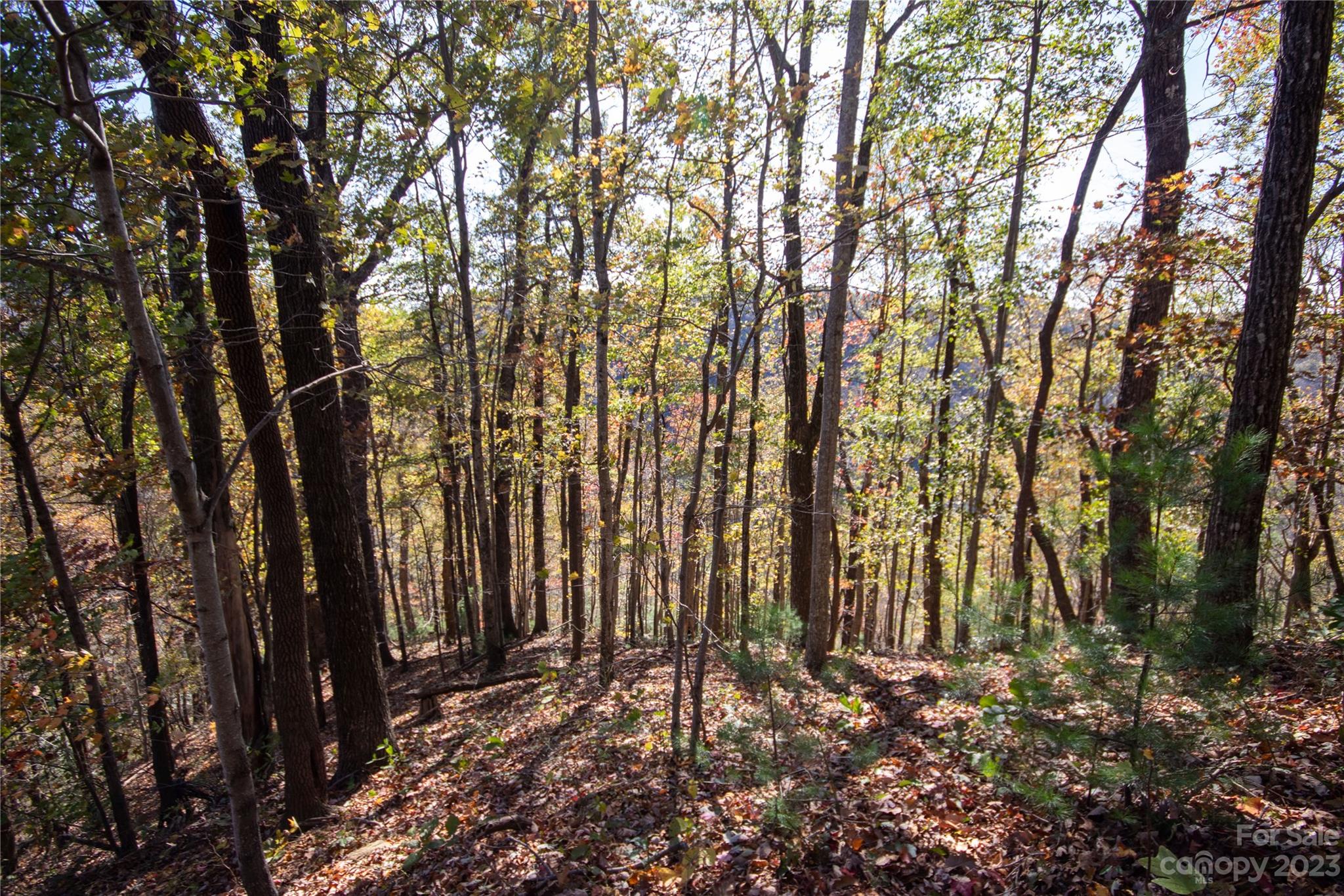 Lot# 547 Autumn Ridge Lenoir NC 28645