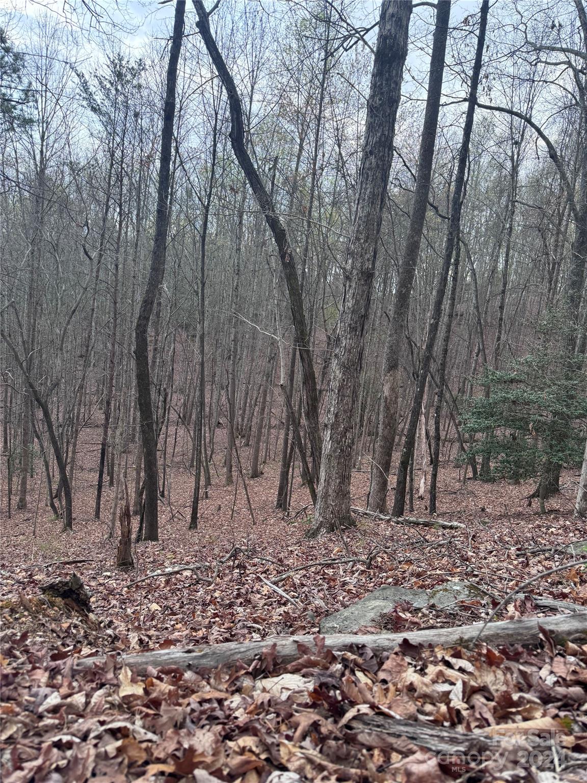 0 Wilkerson Court Lake Lure NC 28746
