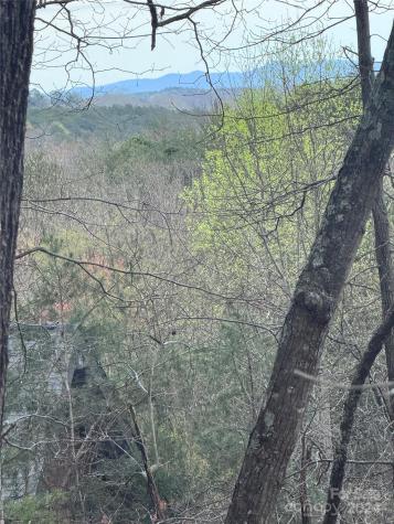 0 Wilkerson Court Lake Lure NC 28746