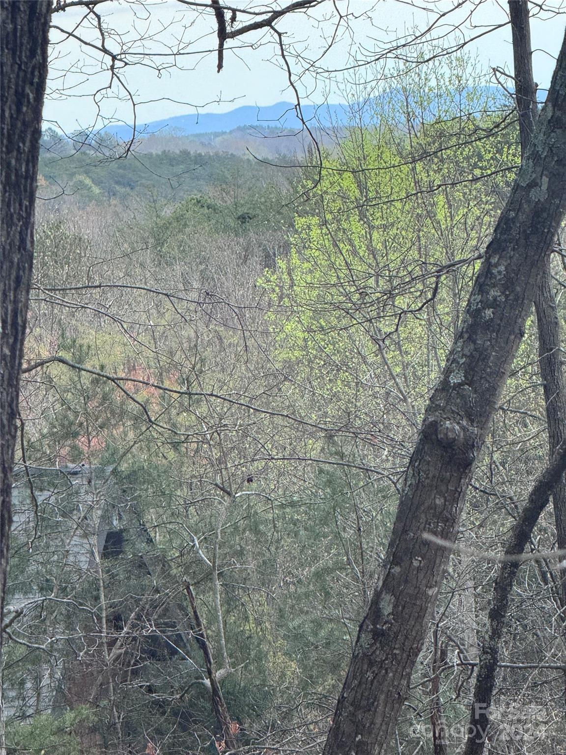 0 Wilkerson Court Lake Lure NC 28746