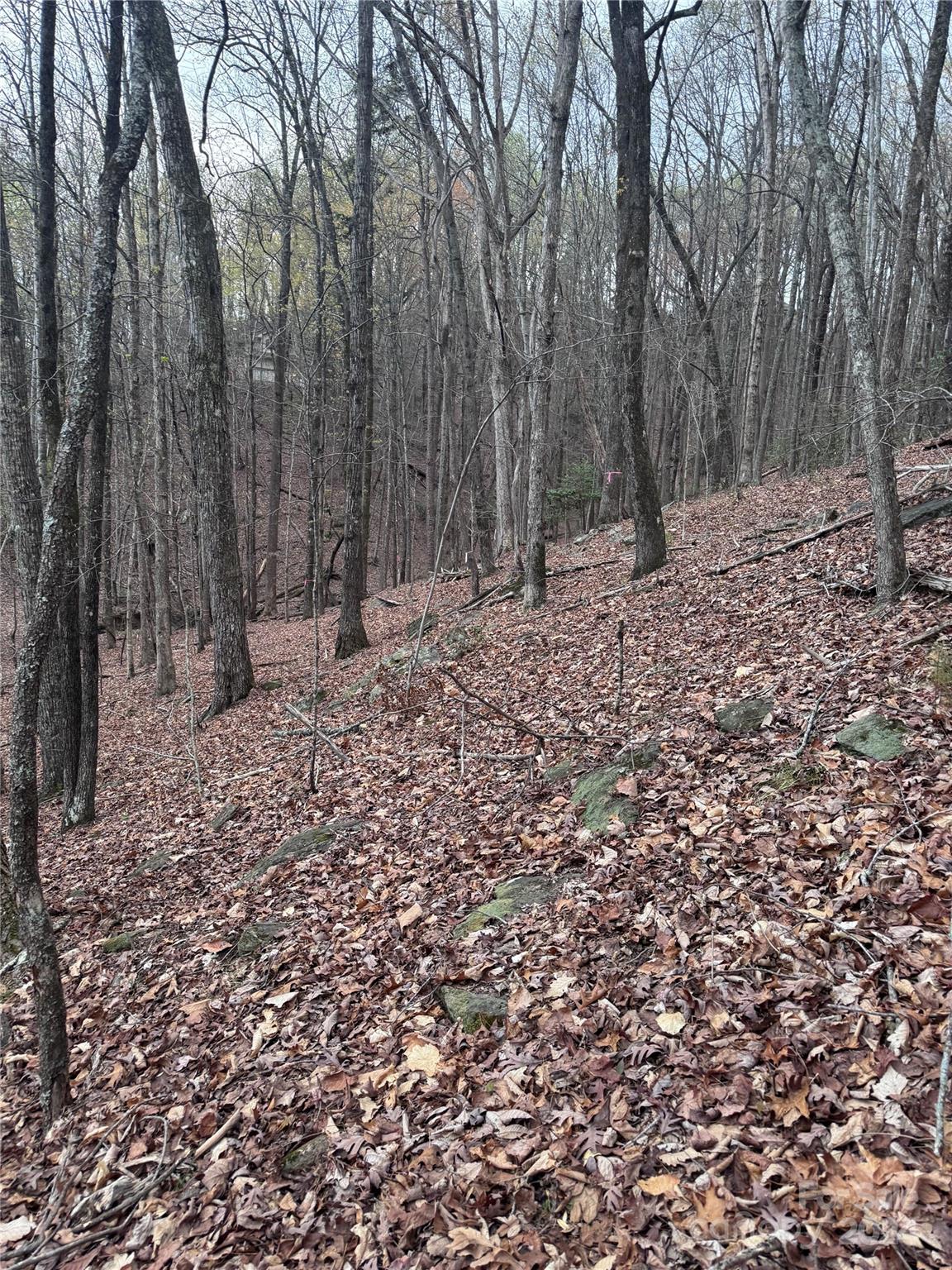 0 Wilkerson Court Lake Lure NC 28746