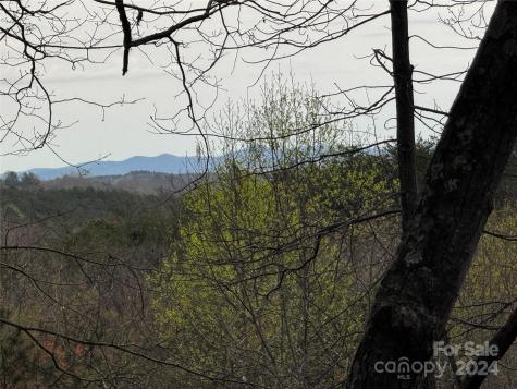 0 Wilkerson Court Lake Lure NC 28746