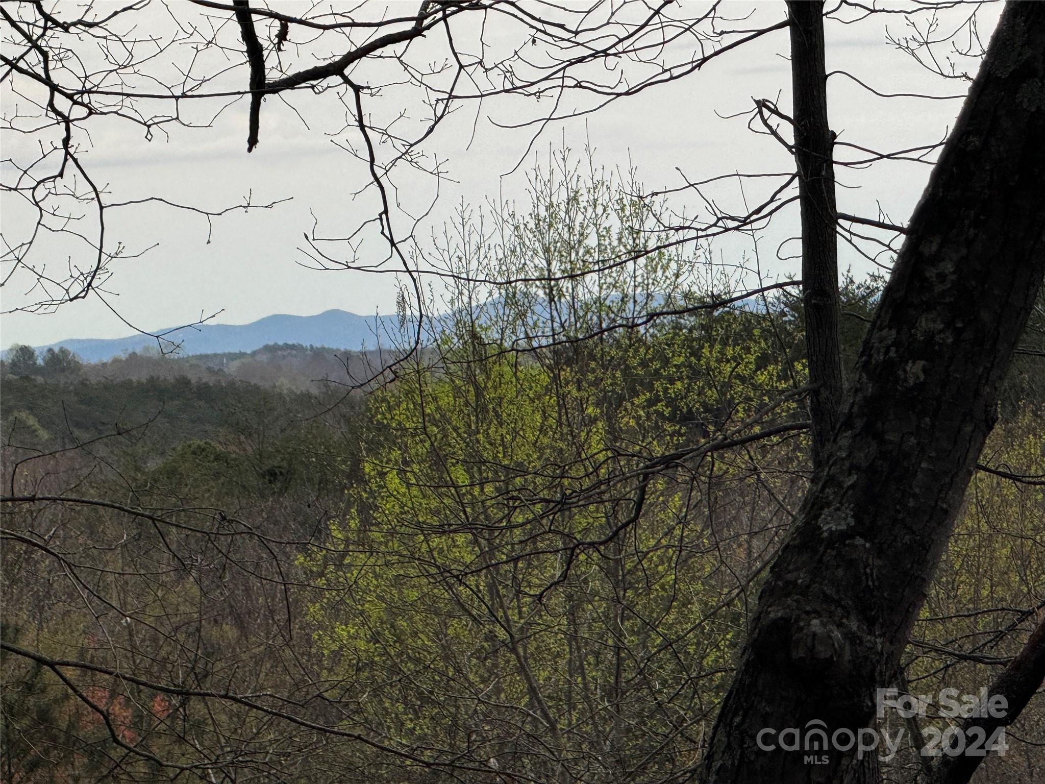 0 Wilkerson Court Lake Lure NC 28746