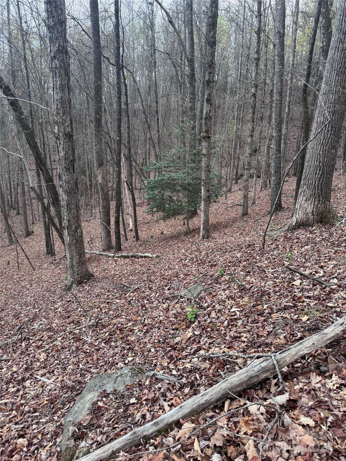 0 Wilkerson Court Lake Lure NC 28746