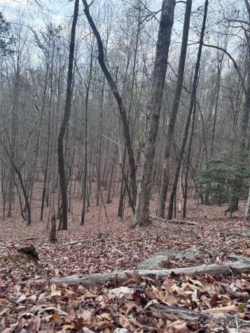 0 Wilkerson Court Lake Lure NC 28746