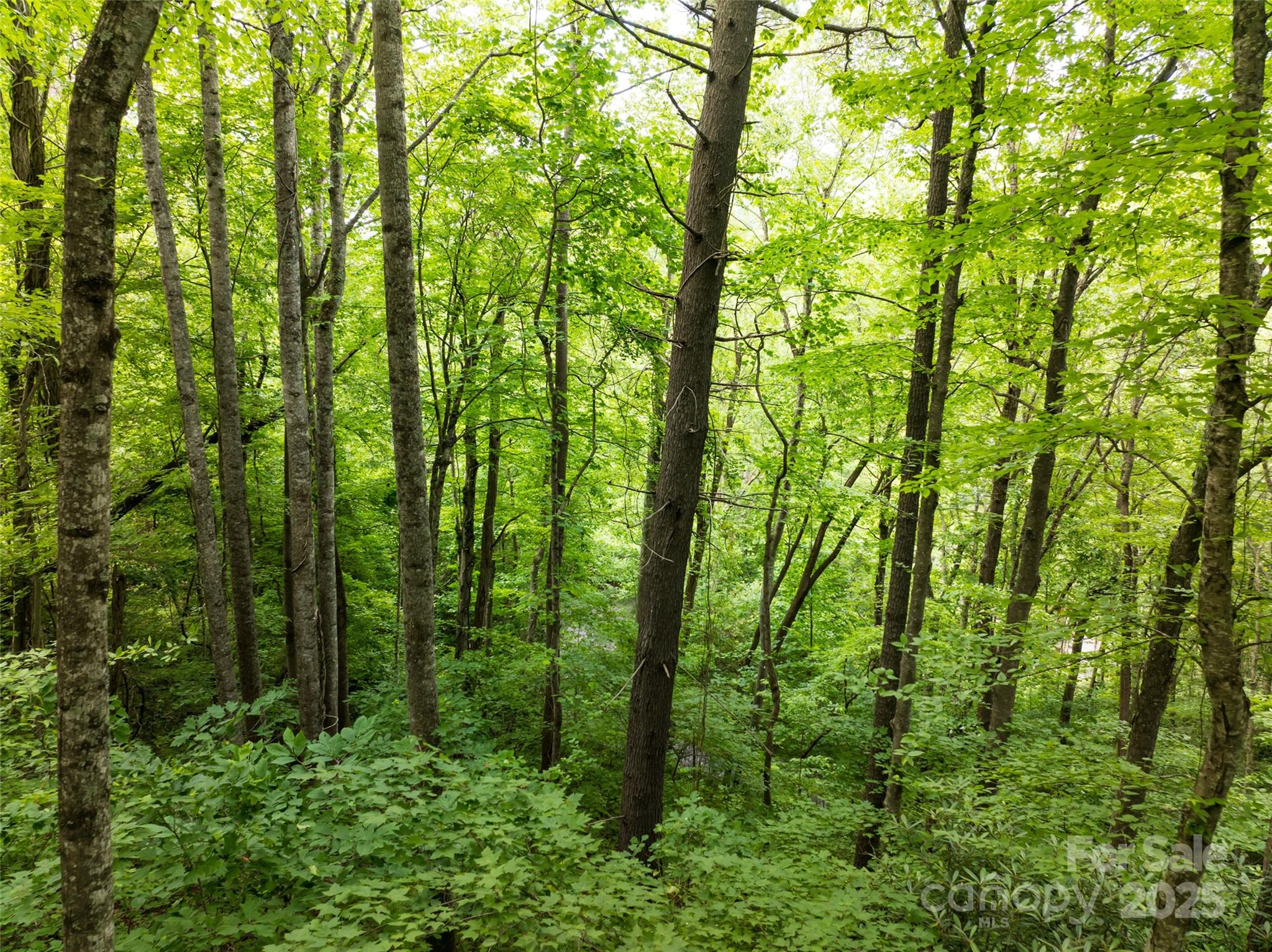 9999 White Oak Gap Road Asheville NC 28803