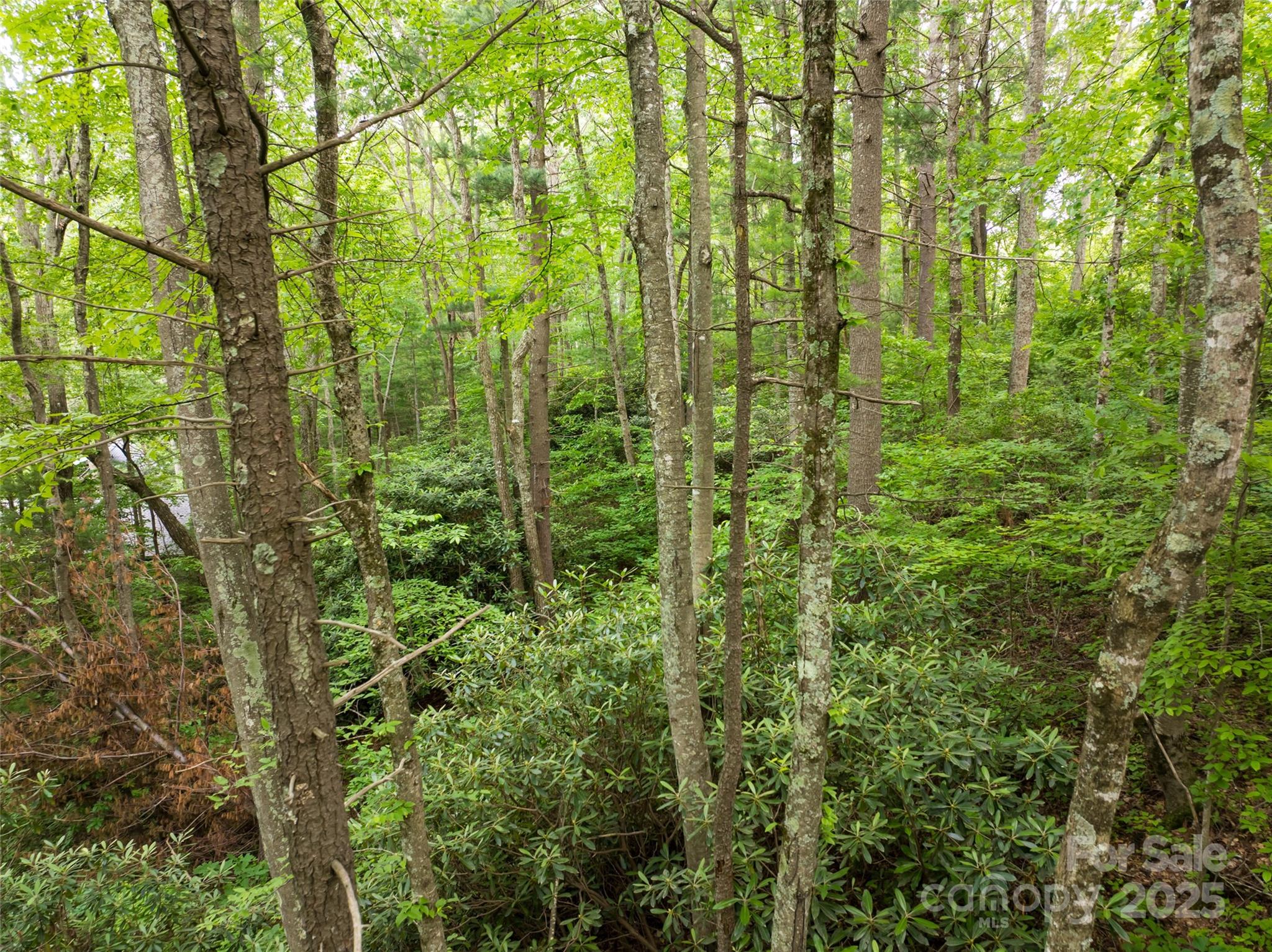 9999 White Oak Gap Road Asheville NC 28803