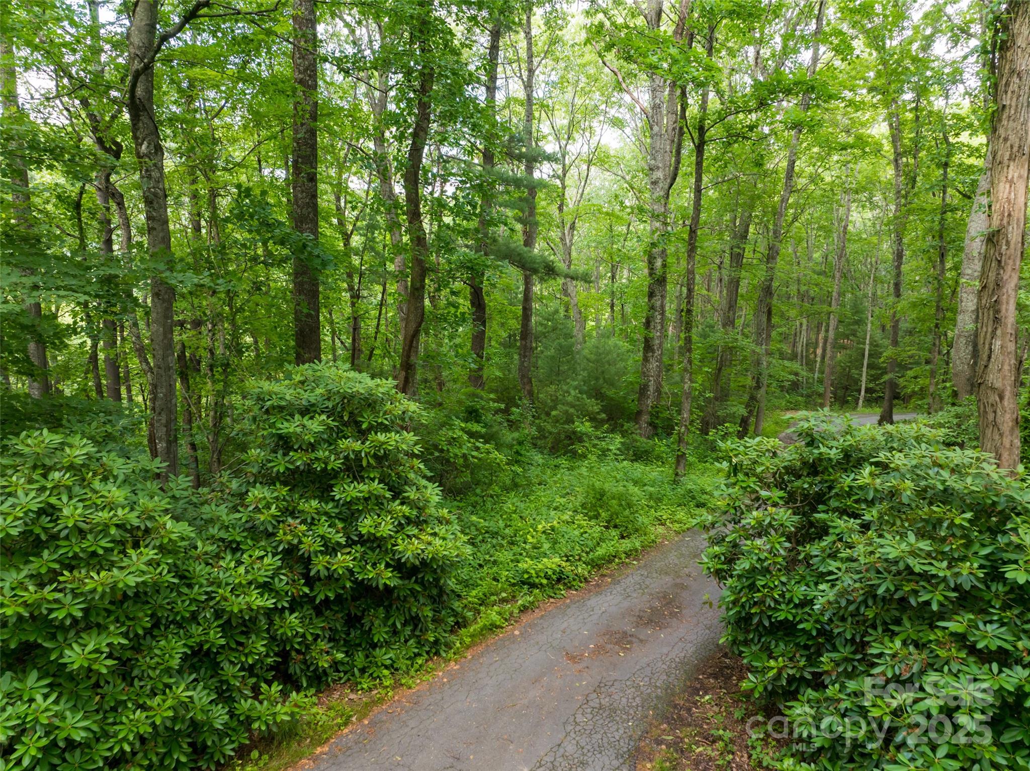 9999 White Oak Gap Road Asheville NC 28803