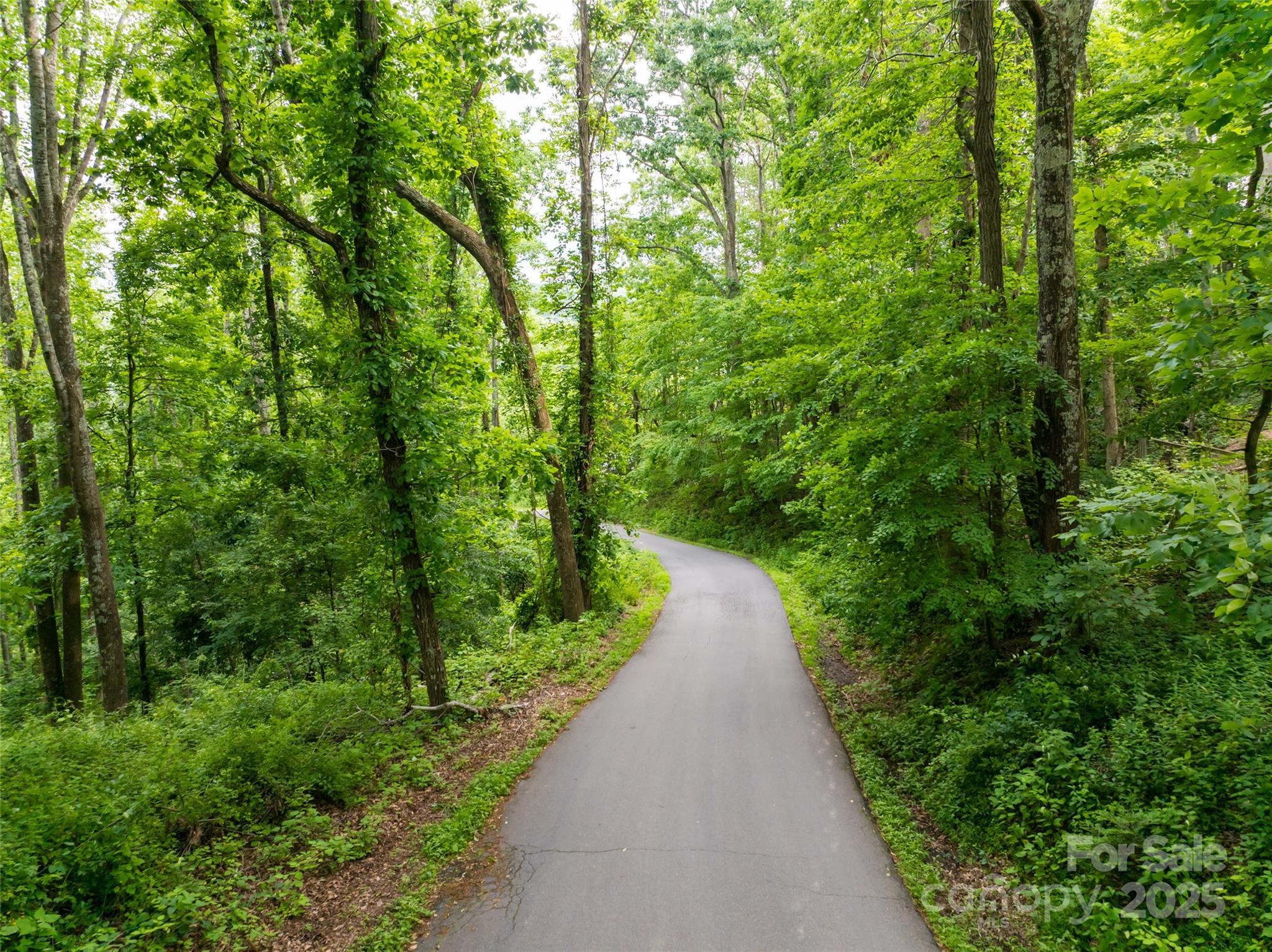 9999 White Oak Gap Road Asheville NC 28803