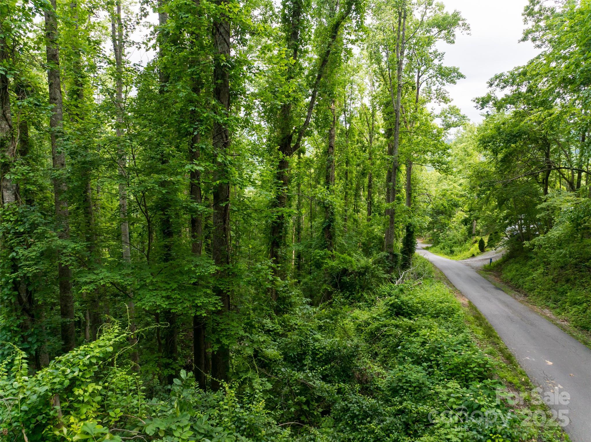 9999 White Oak Gap Road Asheville NC 28803