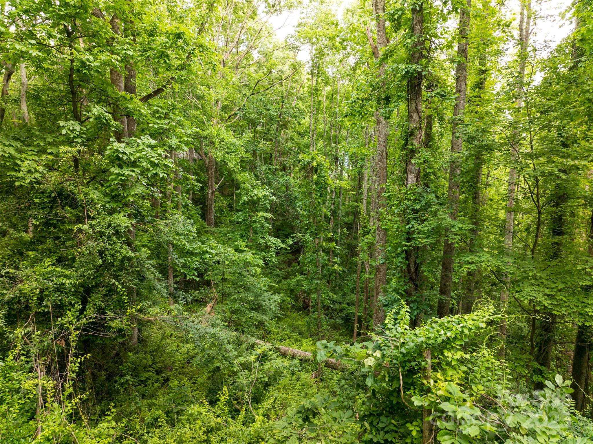 9999 White Oak Gap Road Asheville NC 28803
