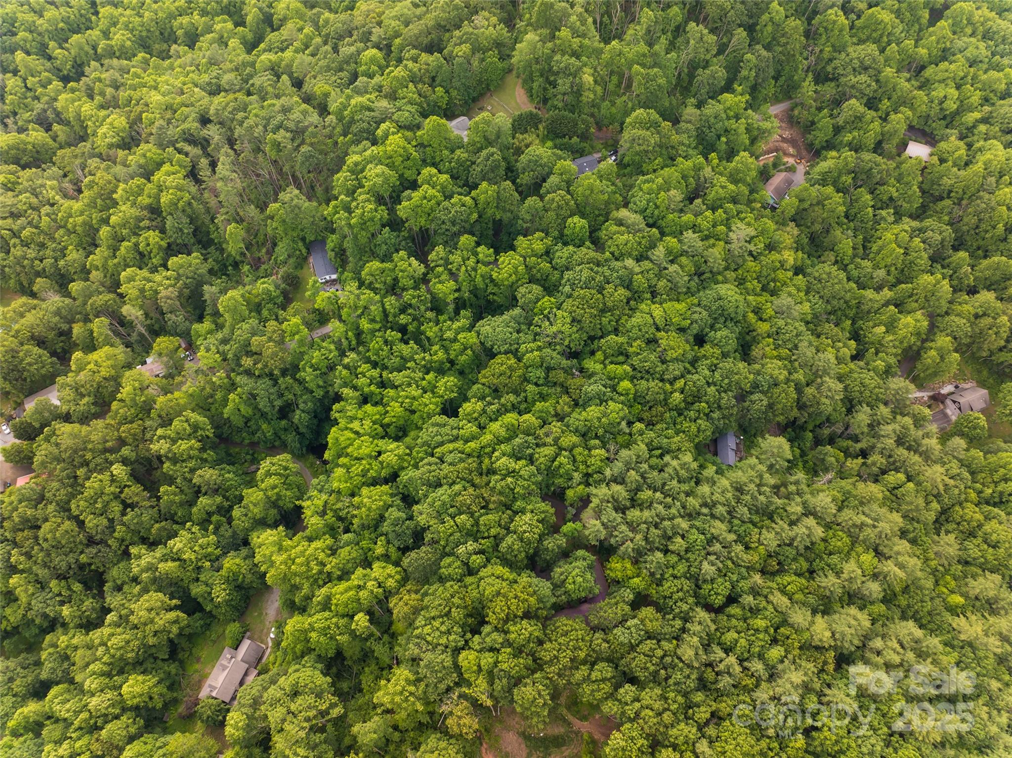 9999 White Oak Gap Road Asheville NC 28803