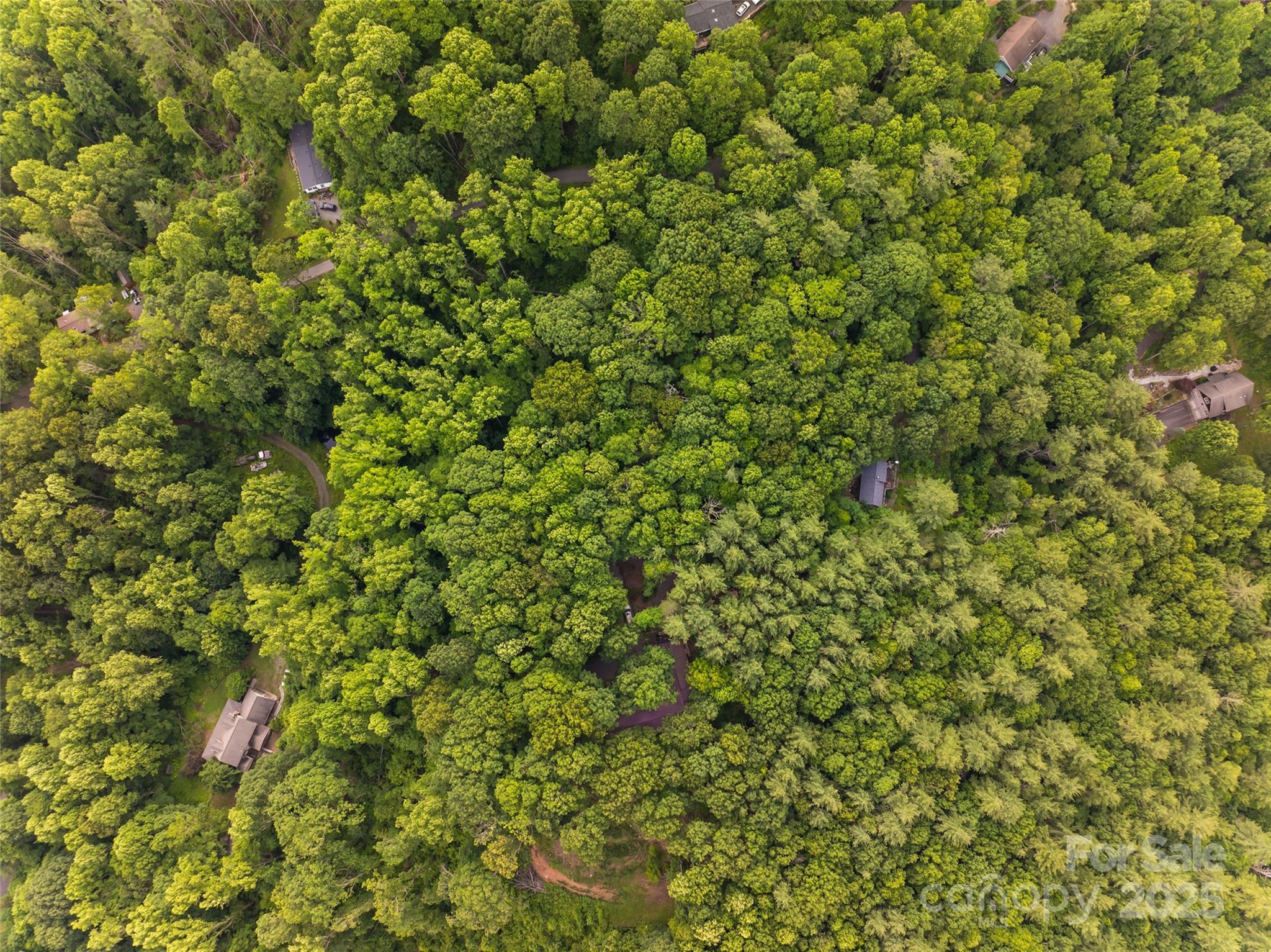 9999 White Oak Gap Road Asheville NC 28803
