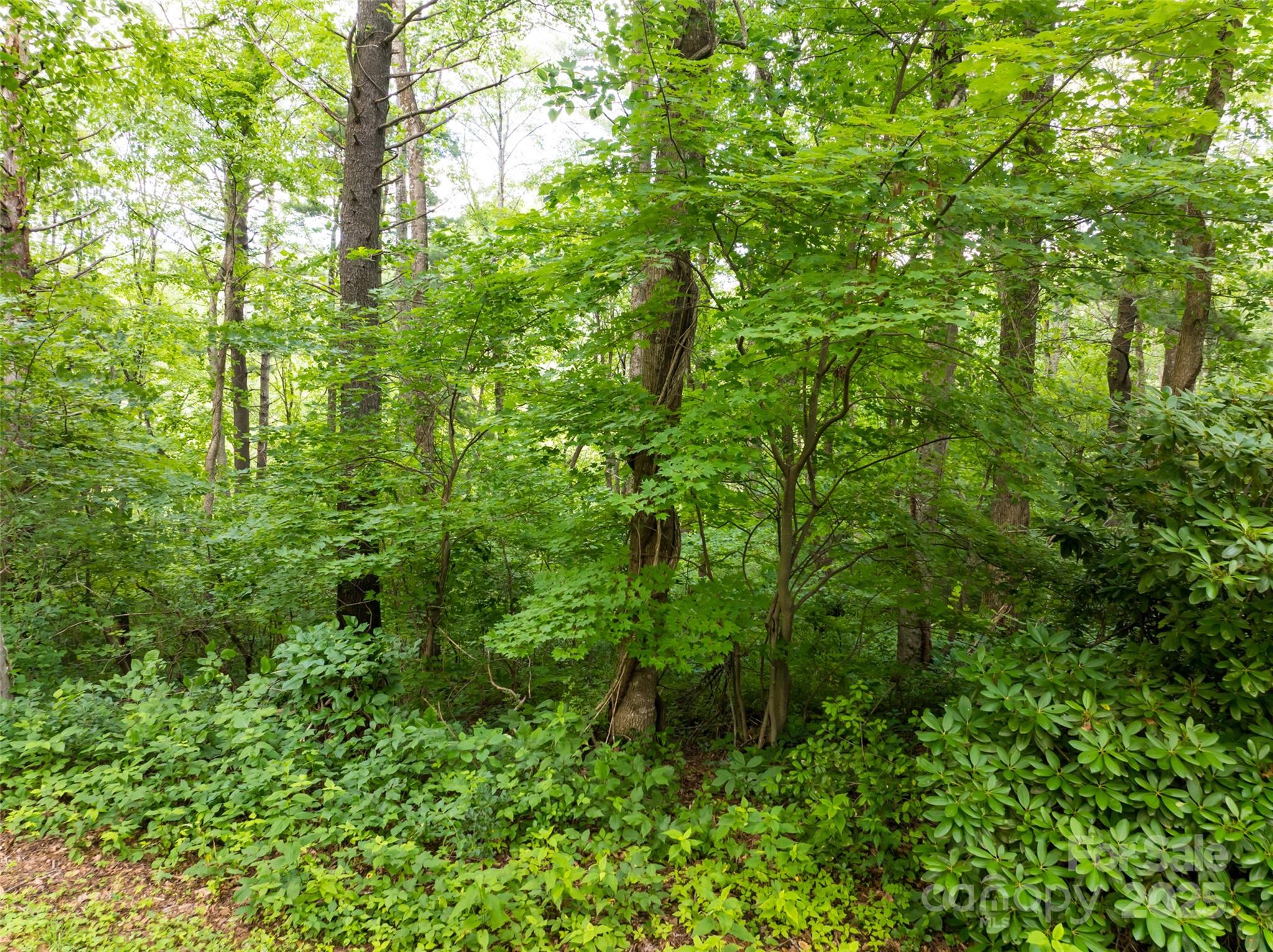 9999 White Oak Gap Road Asheville NC 28803