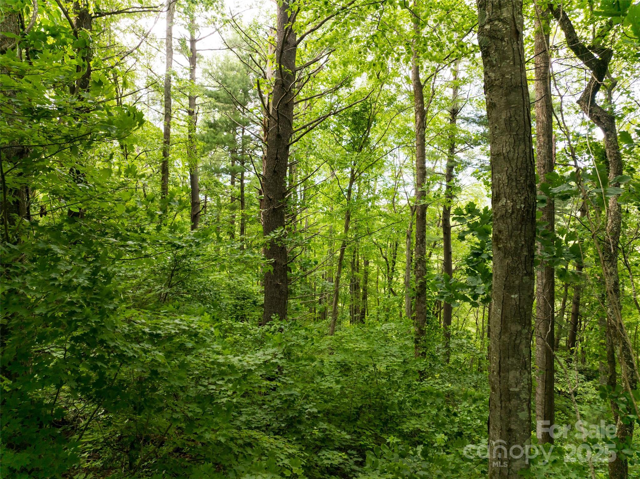 9999 White Oak Gap Road Asheville NC 28803