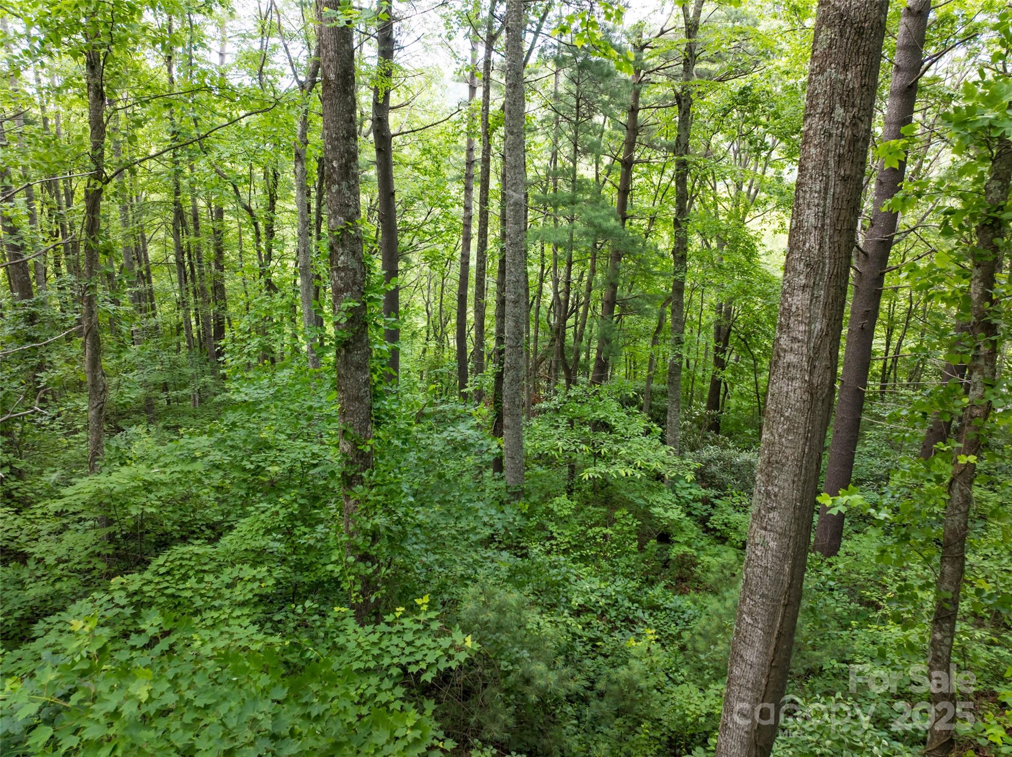 9999 White Oak Gap Road Asheville NC 28803