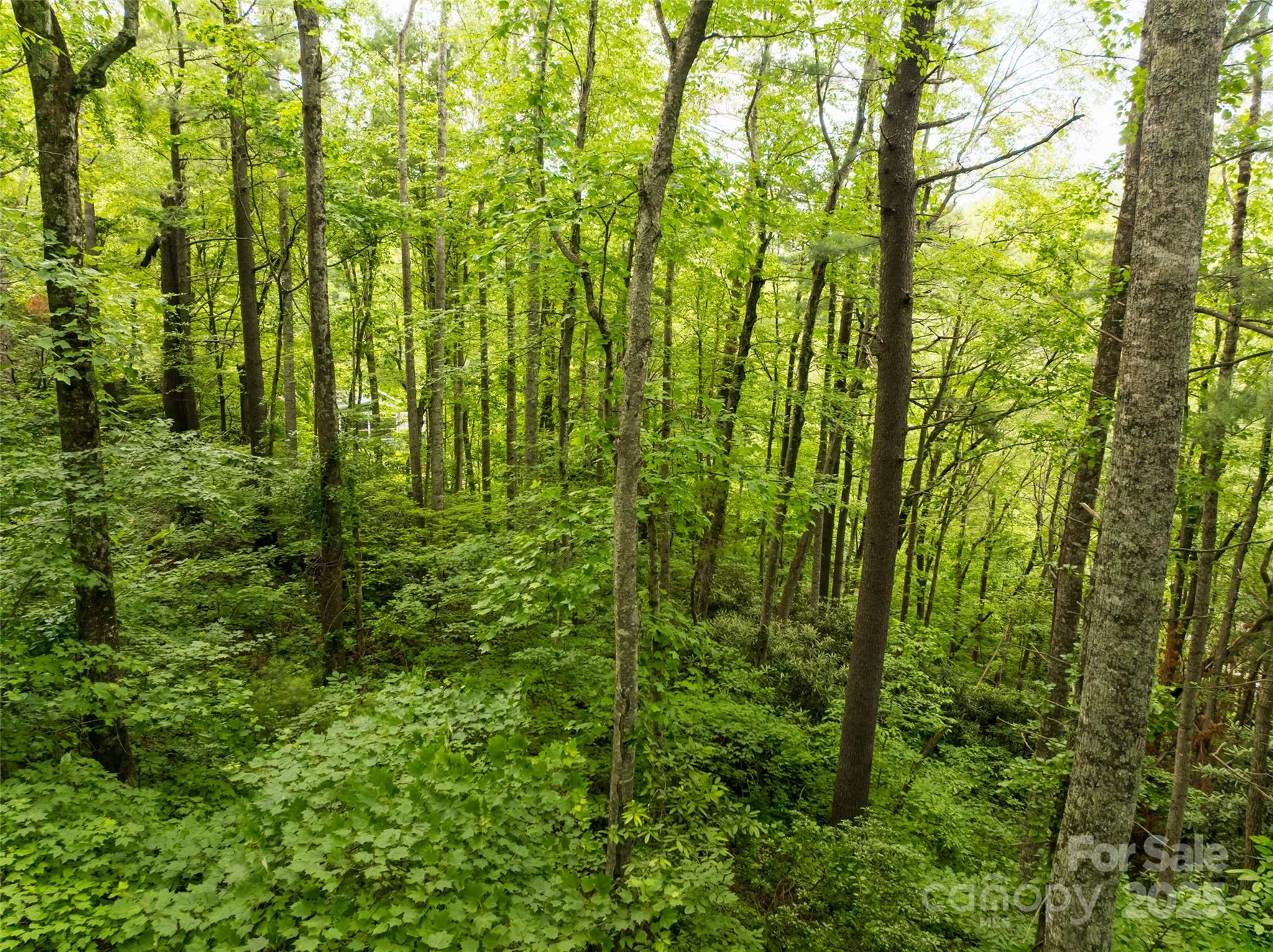 9999 White Oak Gap Road Asheville NC 28803